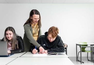 docent  geeft studenten uitleg