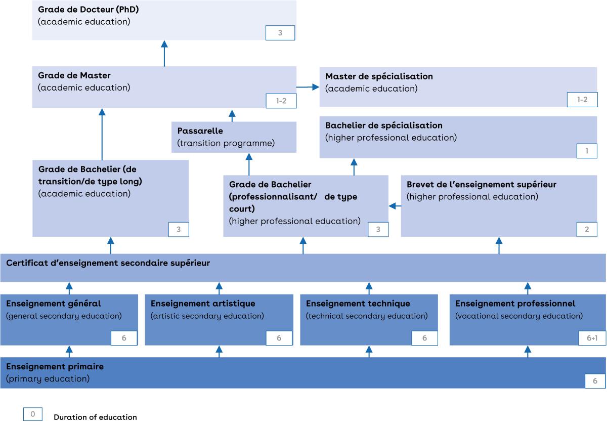 This is a chart of the education system of the French community.