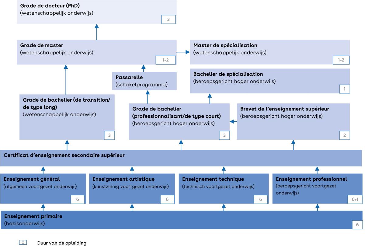 Dit is een schema van het onderwijssysteem van de Franse gemeenschap.